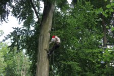 53_gc_stammtisch_55_20150506